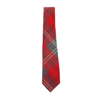 Largs Primary School Tie, Largs Primary