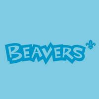 Beavers