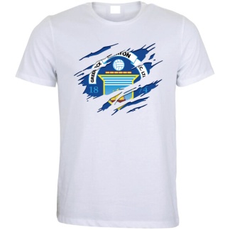Morton T-Shirt (In White)(Heritage Range) (RCSRip), Leisure Wear