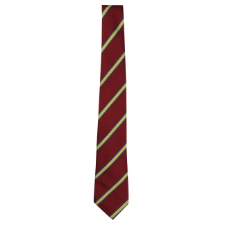 Ardgowan Primary School Tie, Ardgowan Primary