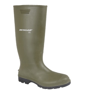 Dunlop Wellie (RCSW197E), Boys (7 to 11)