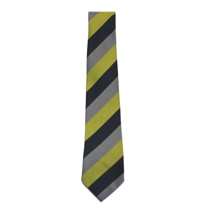 Dunoon Primary School Tie, Dunoon Primary