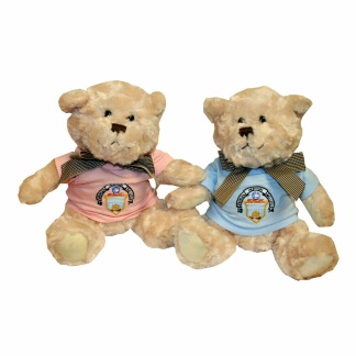 Morton Teddy Bear, Souvenirs