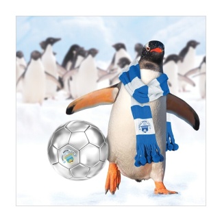 Christmas Card (Blank Inside) (RCS X03Penguin), Souvenirs, Greetings Cards