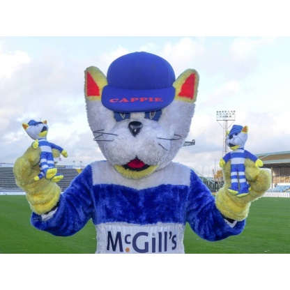 Cappie the Cat, Souvenirs