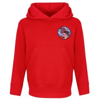 Strone Primary Staff Hoody (Unisex) (RCSGD57), Strone Primary