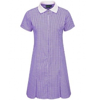 Summer Dress (Purple), Aileymill Primary, St Muns Primary, Pinafores, All Saints Primary